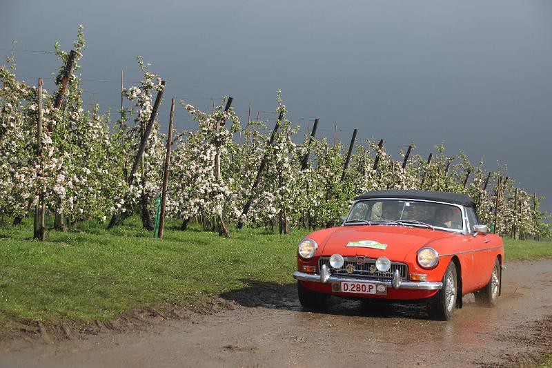 MG Bloesemrit op 24-4-2016 org. Jos&Marie-lou  (296).JPG